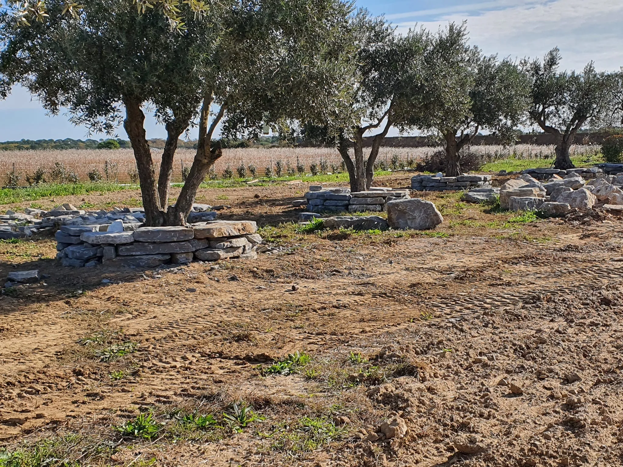 Réalisation de maçonnerie par LB Bâtisud - Projet 20